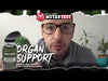 Organ Support - Cuidado hepatico y organos