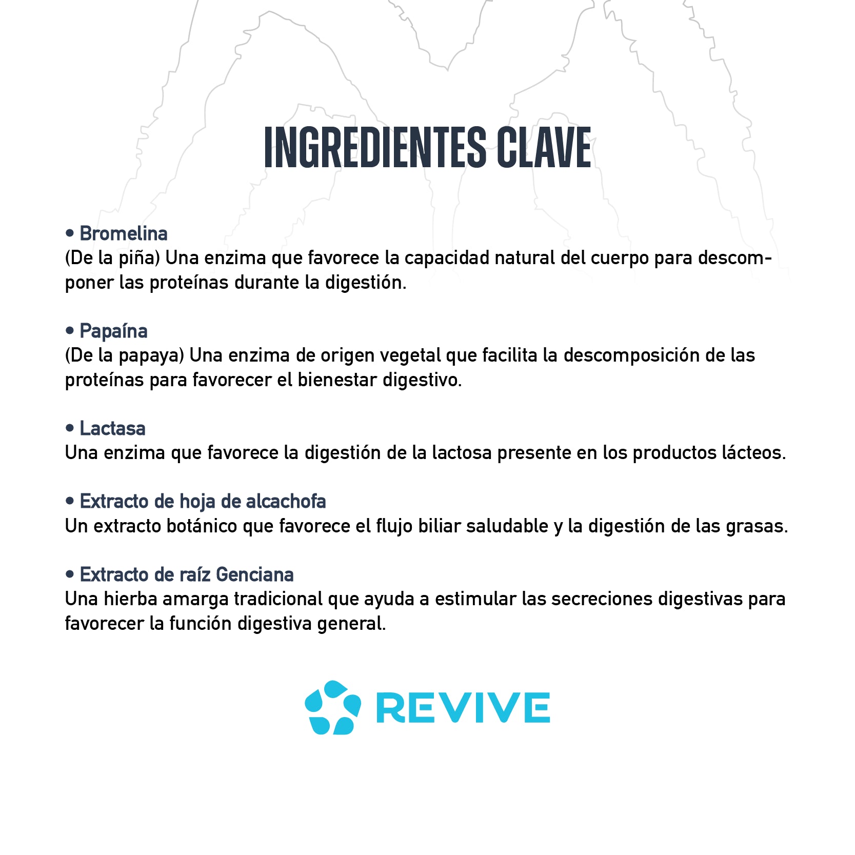 Colágeno Alta Pureza 2