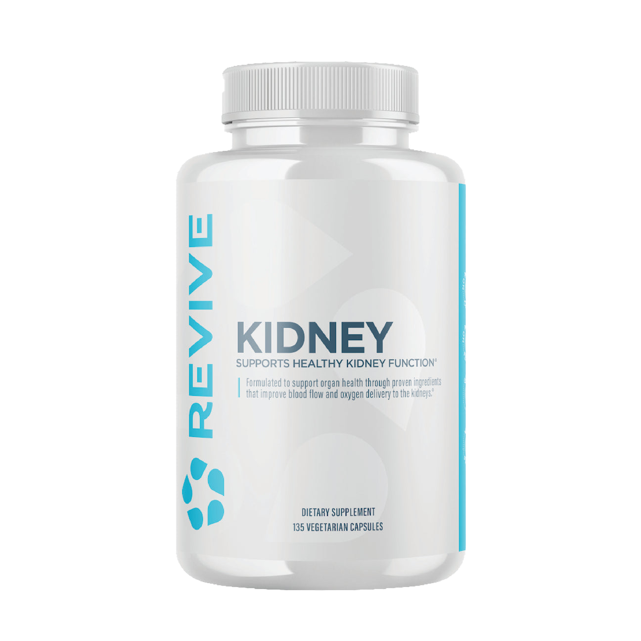 Kidney 3