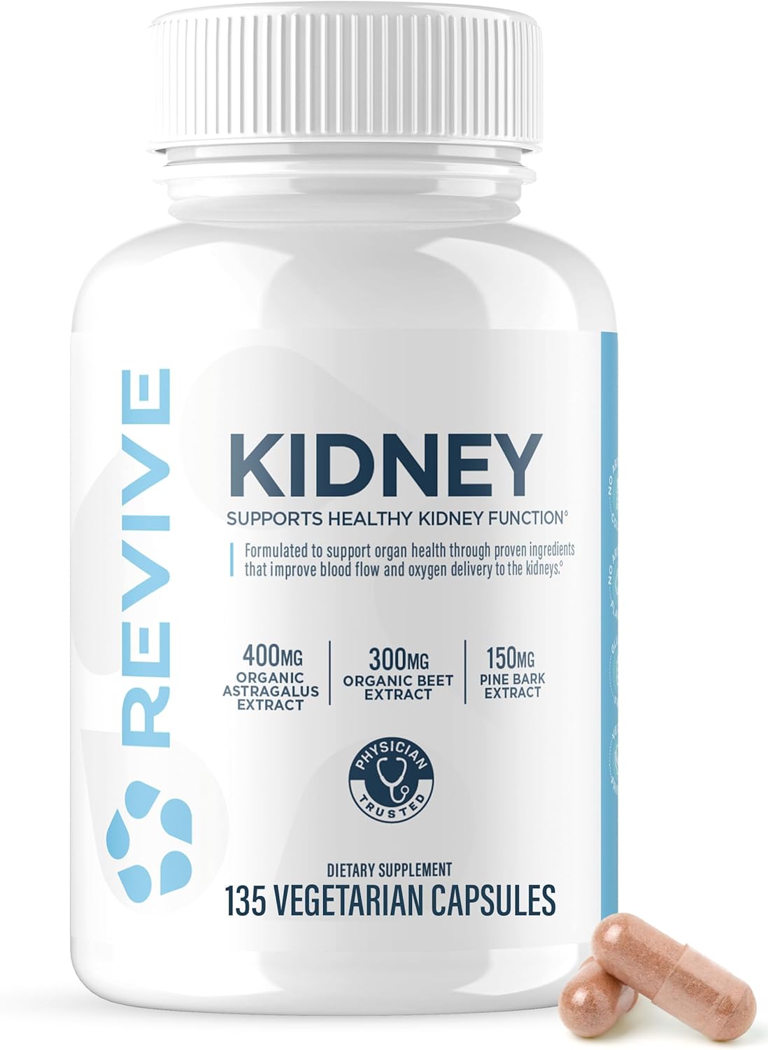 Kidney
